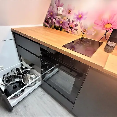 Apartament Radiostacja, Parking Free, Klimatyzacja Gliwice