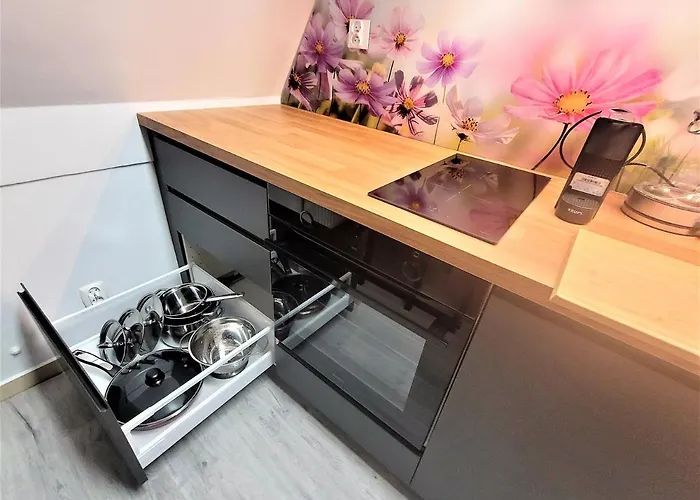 شقة Radiostacja, Dwupokojowe, Parking Free, Klimatyzacja غليفيتسه